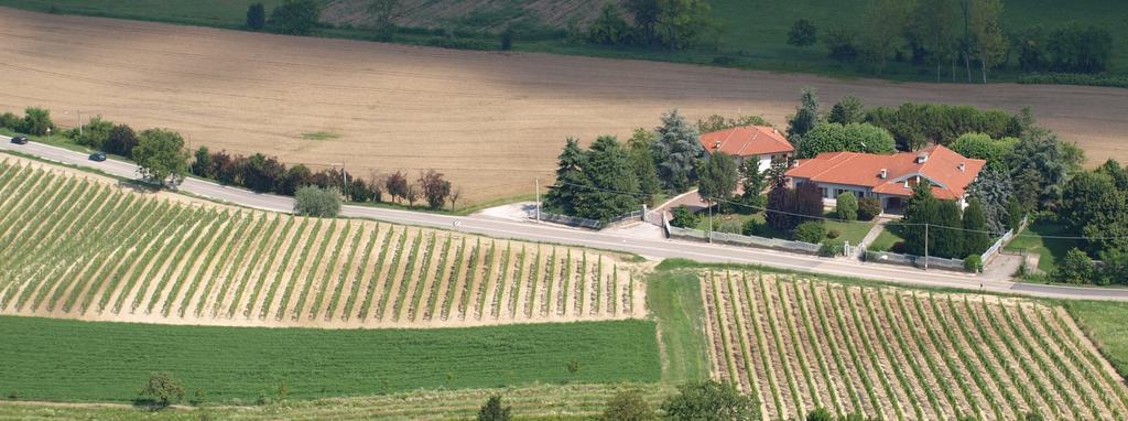 B&B Vigneto Pardom Montiglio Exterior photo